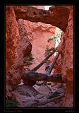 Bryce Canyon 47